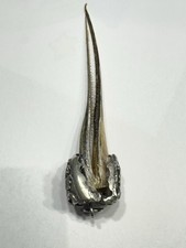Charivari anhänger hornhecht gebraucht kaufen  Kaufbeuren