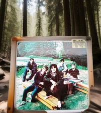 charlatans vinyl for sale  SOLIHULL