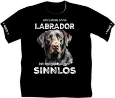 Schwarzer labbi labrador gebraucht kaufen  Zittau