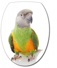 Sticker abattant perroquet d'occasion  Saint-Gilles