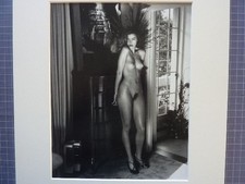 Helmut newton erotische gebraucht kaufen  Rodenbach