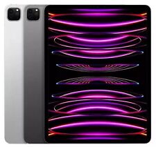 Apple iPad Pro 6ª Geração 128GB, Wi-Fi, 12,9 polegadas - CINZA PRATA - Muito bom, usado comprar usado  Enviando para Brazil