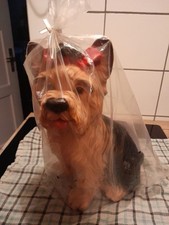 Yorkshire terrier kunststoff gebraucht kaufen  Neustadt b.Coburg