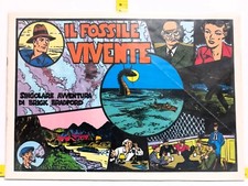 Brick bradford fossile usato  Triggiano