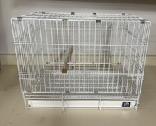 Prevue pet products for sale  Rochester