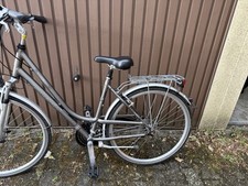 Raleigh pioneer comfort gebraucht kaufen  Gladbeck