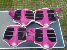 Harrys horse flextrainer gebraucht kaufen  Landsberg am Lech