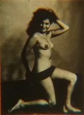 Nude posing microphotograph for sale  Los Angeles