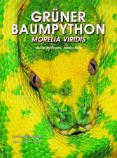 Grüner baumpython gebraucht kaufen  Berlin