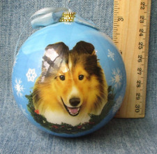 Collie sheltie dog for sale  Lake Ariel