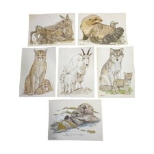 Wildlife art prints for sale  Harriman