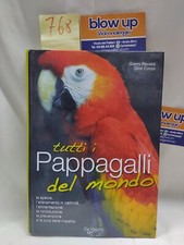 Tutti pappagalli del usato  Anzio