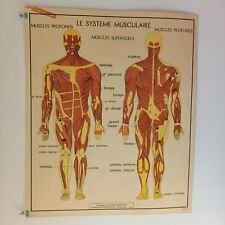 Affiche pédagogique scolaire d'occasion  Canohès
