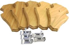 Rehbock gehörnbrett 19x12 gebraucht kaufen  Mittweida