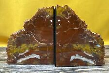Arizona rainbow petrified for sale  New Orleans