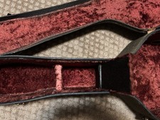 Vintage protex guitar for sale  Erlanger