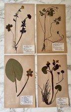 Set rare vintage for sale  LONDON