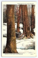 Postcard ready gather for sale  Bulger