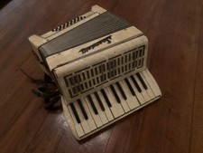 madreperla fisarmonica usato madreperla fisarmonica usato Italia