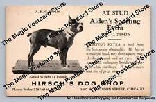 Hirsch dog shop for sale  USA