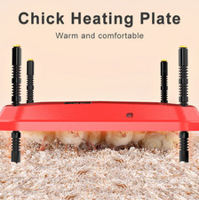 Chick brooder poultry for sale  LEICESTER
