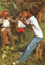 972 martinique noix d'occasion  France