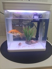 Nobleza nano acquario usato  Pozzuoli