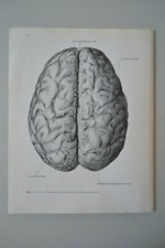 Planche anatomie humaine d'occasion  Marseille IV