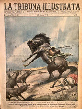 1946 tribuna illustrata usato  Roma
