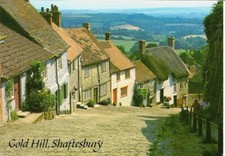 Gold hill shaftesbury for sale  BRISTOL