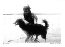 Postcard beach dog for sale  Ocean Springs