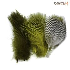 Plume sarcelle devaux d'occasion  Souvigny