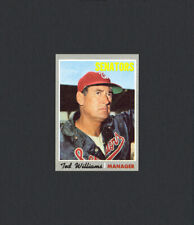 Ted williams 1970 for sale  USA