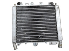 Radiatore acqua piaggio usato  Scafati