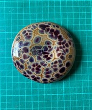 Patterned stone fossil for sale  SWANSEA