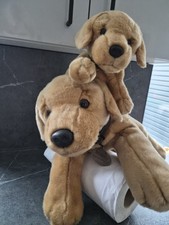 Keel labrador soft for sale  ROCHESTER