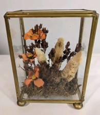 Small curio footed for sale  Galena