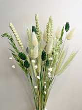 Dried flowers natural for sale  WREXHAM