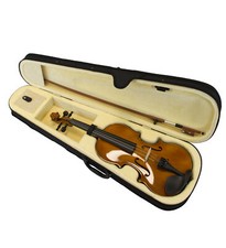 Ensemble violon incl. d'occasion  Expédié en France