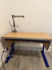 Moll kinderschreibtisch schubl gebraucht kaufen Moll kinderschreibtisch schubl gebraucht kaufen  Tübingen