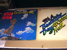 Vinyl beautiful day gebraucht kaufen  Wunsiedel
