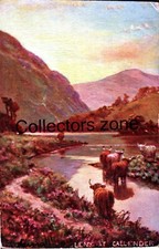 Highland cattle callender for sale  PRESTON