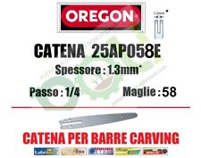 Oregon 25ap058e catena usato  Massa