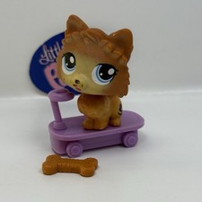 Pomeranian dog 1317 for sale  Alexandria
