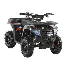 Miniquad quad atv usato  Casapesenna