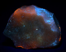 Petrified wood pink for sale  Sussex