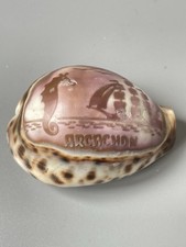 Cyprae tigris shell d'occasion  Expédié en Belgium