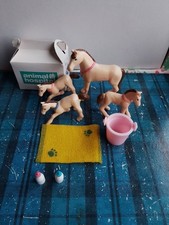 Puppy pocket animal for sale  MUIR OF ORD
