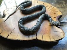 Grass snake taxidermy. for sale  SHREWSBURY