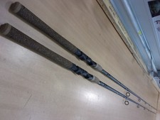 Berkley lightning rod for sale  Ruthven